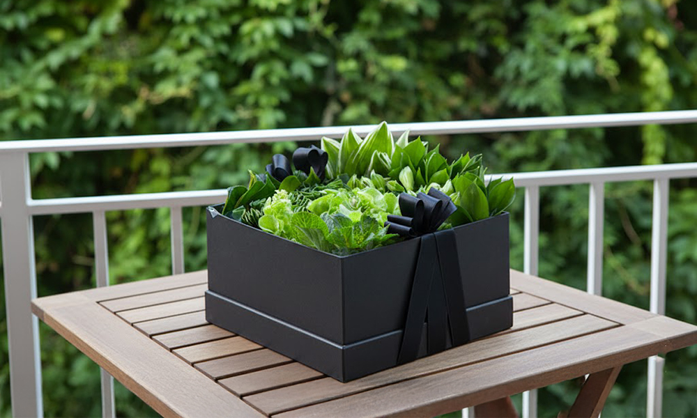 グリーンディスプレイの作品写真